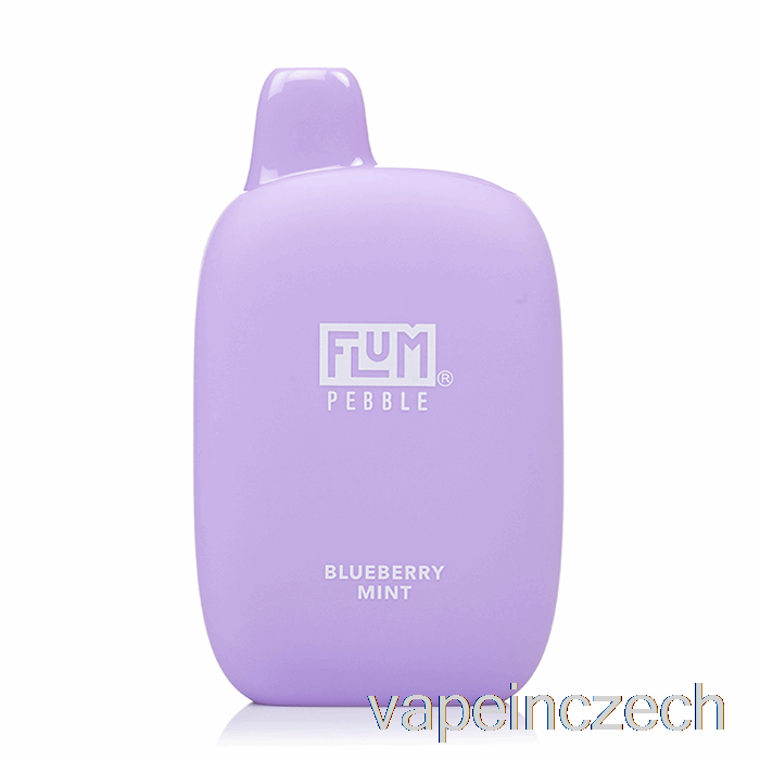 Flum Pebble 6000 Jednorázový Borůvkový Mátový Vape Bez Nikotinu